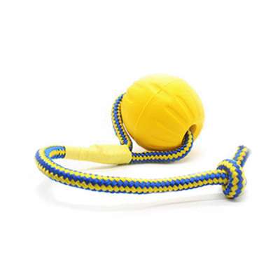 China manufacturer wholesale cheap training fun pet toy supplies EVA rope ball dog with rope elastic solid ball